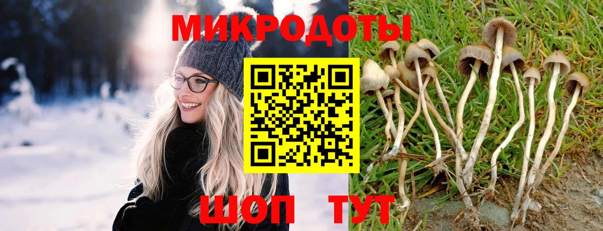 Псилоцибиновые грибы Psilocybine cubensis  Вход с VPN  магазин  наркотиков  Сочи 