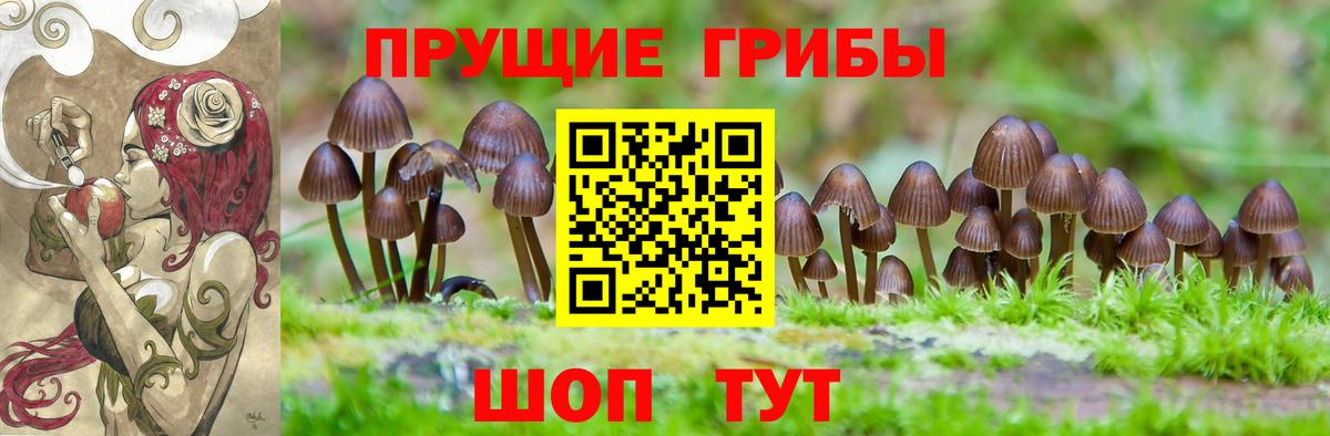 Псилоцибиновые грибы мухоморы Сочи